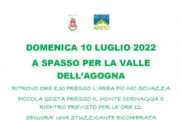 PROPOSTA GREEN