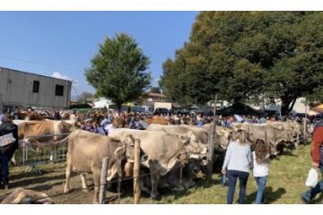 ISCRIZIONI ALLA FESTA ZOOTECNICA DEL PRIMO OTTOBRE 2023