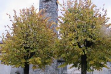 chiesa