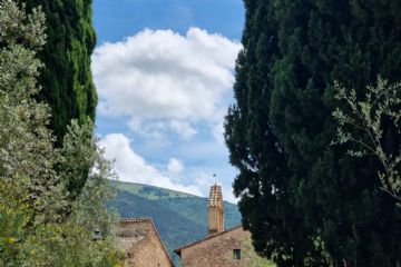 Una comunità in festa