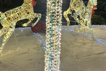 La nostra Pro Loco presente con le luminarie e con un allestimento natalizio innovativo e scenografico.