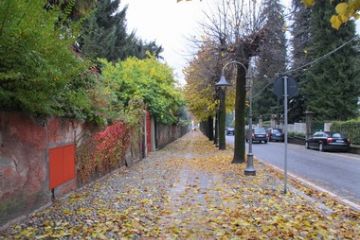 viale