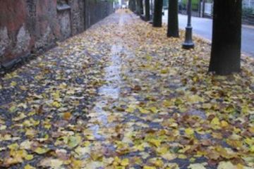 viale
