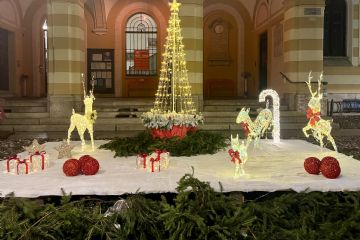 Grazie alle scuole del Comune per aver animato l'avvio del periodo pre-natalizio con l'accensione delle luci in segno di speranza, di auguri, di condivisione.<br>Grazie alla nostra ProLoco per le innovazioni e per il supporto continuo alle iniziative del Paese.